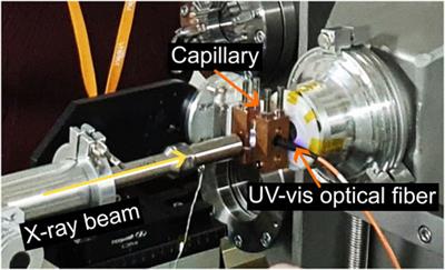 Monitoring the micellar packing of photo-crosslinkable Pluronic F127 dimethacrylate during 3D printing